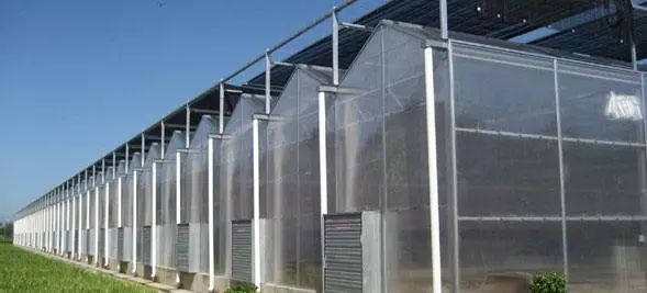 小型温室大棚用什么样的大棚,温室大棚和传统大棚的区别
