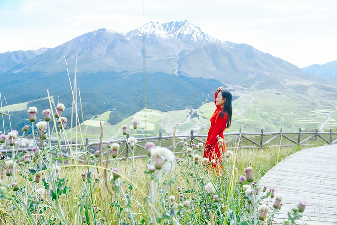 去一趟大西北的旅行,大西北旅行青藏高原