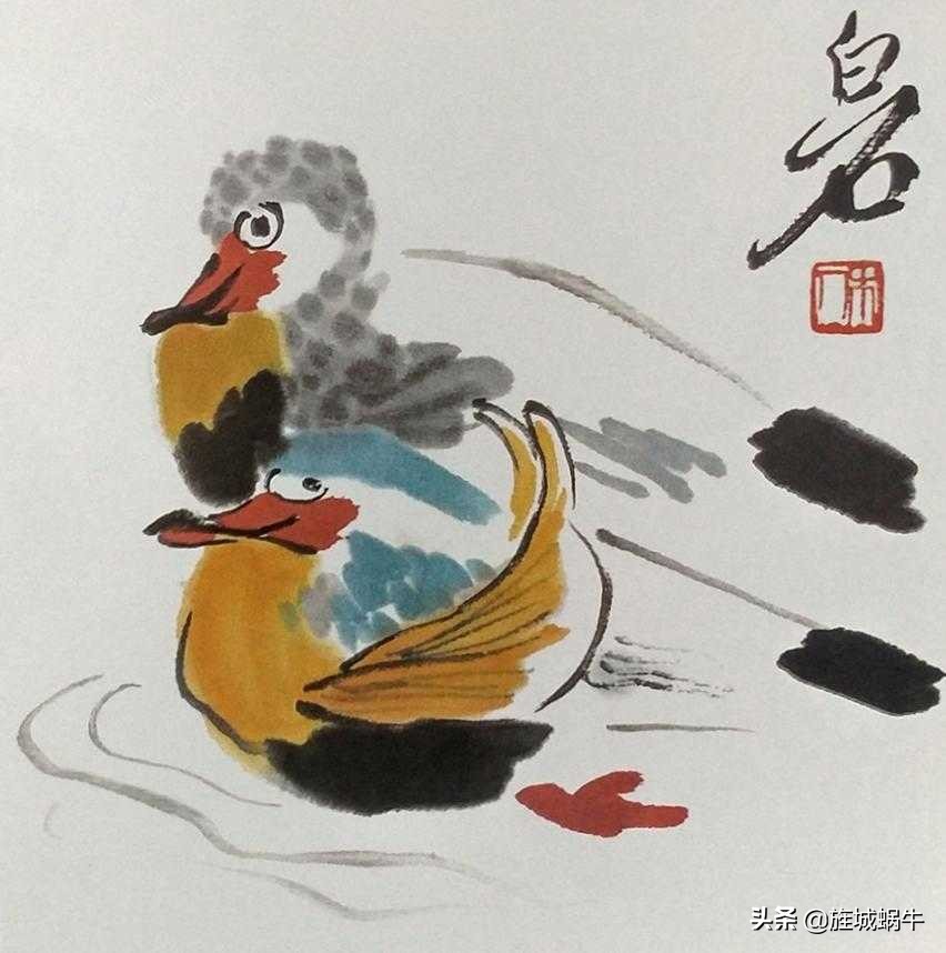 一学就会的禽鸟画法书,禽鸟的画法大全图解