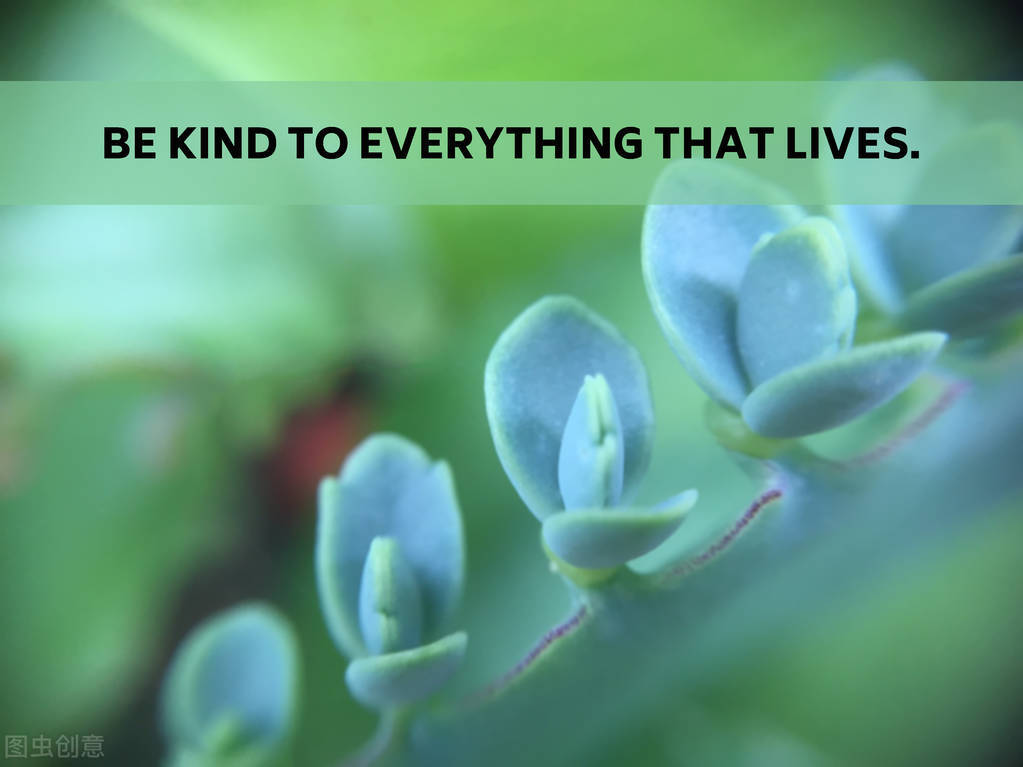 沒有生命,任何辉煌都如尘土