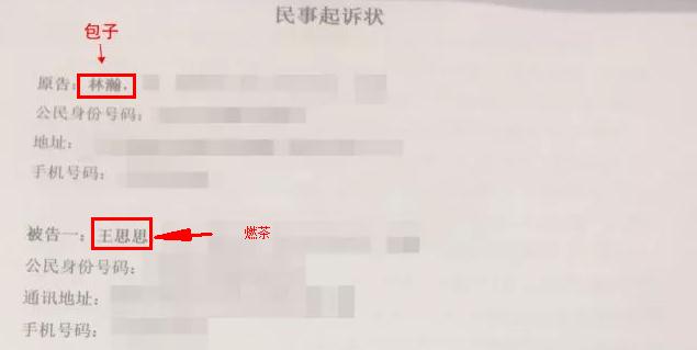 燃茶与包子闹上法庭,燃茶哥哥锤包子上法庭