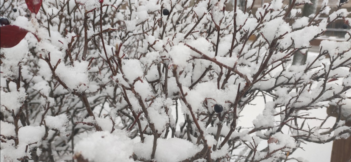 生病的日子原文,做病理切片要住院吗