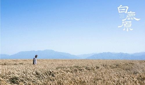 年代剧排行榜前十名好看,国内公认年代剧排行榜最新