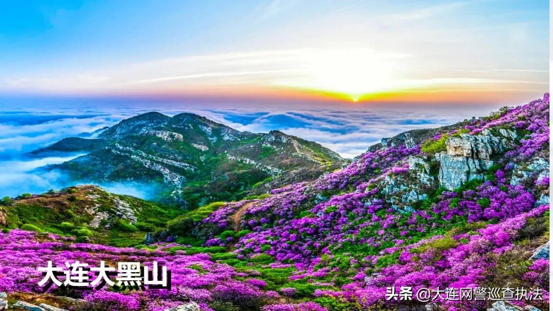 大连和沈阳哪个城市好,大连是个什么样的城市