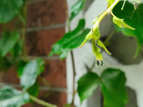 oppok9高通骁龙手机测评,oppok9手机性能跑分