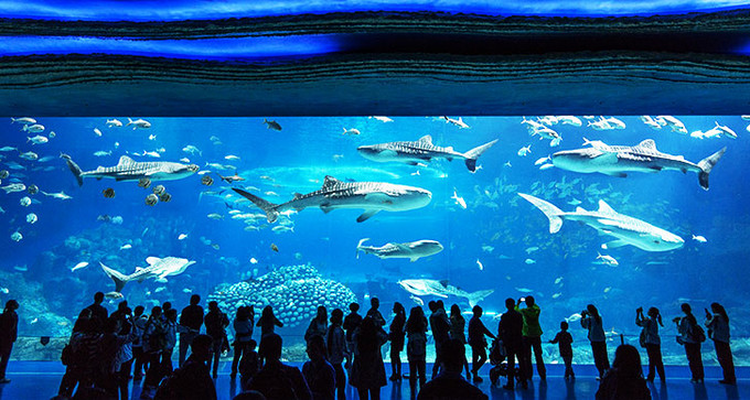 珠海长隆海洋王国全面游玩攻略,珠海长隆海洋王国游玩攻略和价格