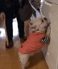 来大姨妈必须要注意的事你知道吗,女生必须知道的大姨妈小知识