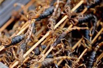 重庆九龙美食街吃货的天堂,国内十大美食街吃货的天堂