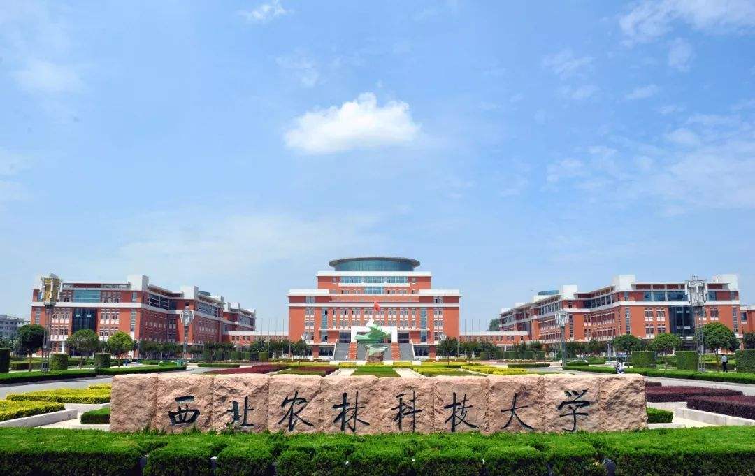 西北54所高校排名公布，兰州大学跻身前三，西安电子科大排第4