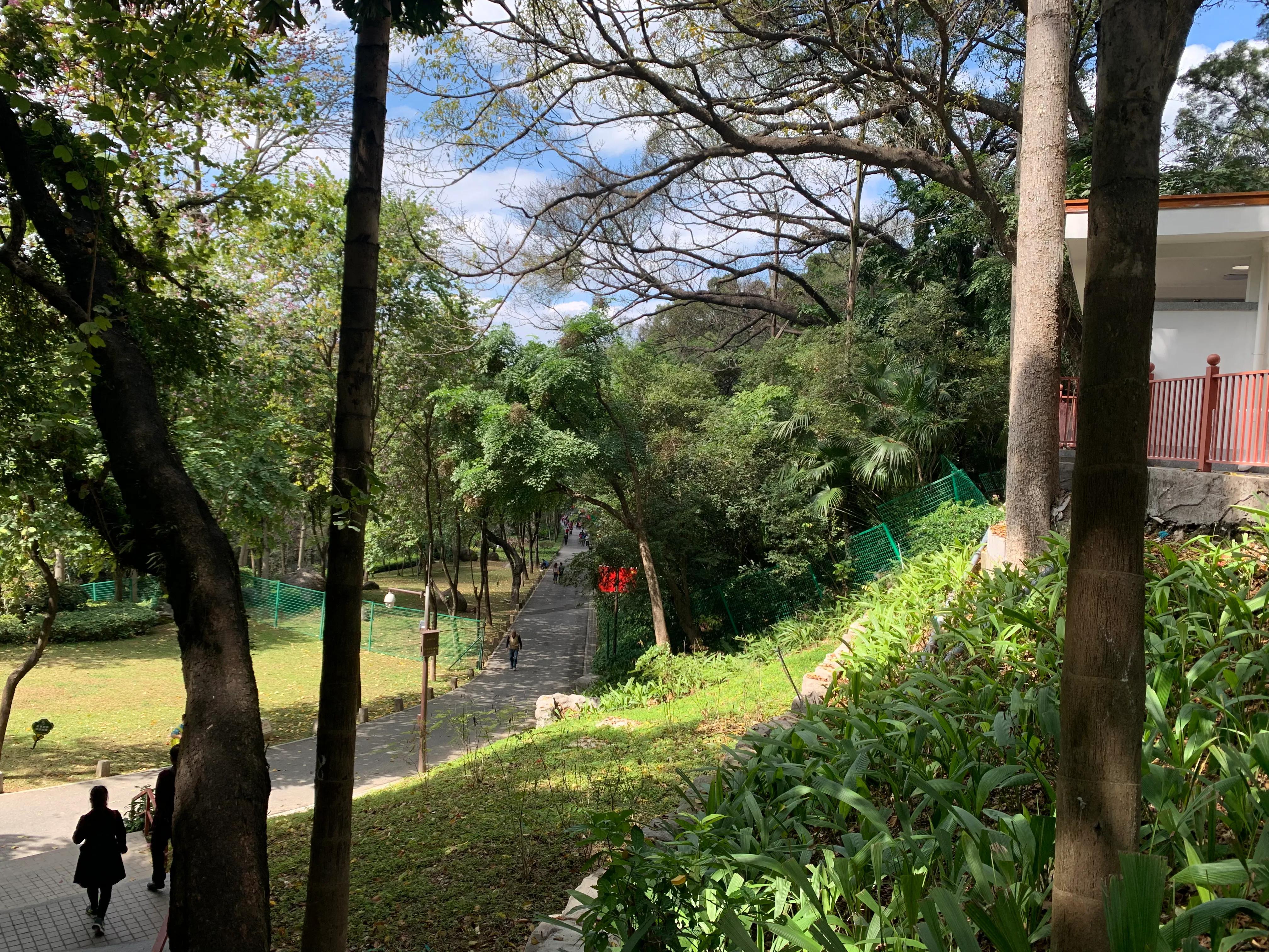 春节期间的越秀公园,越秀区元旦游玩