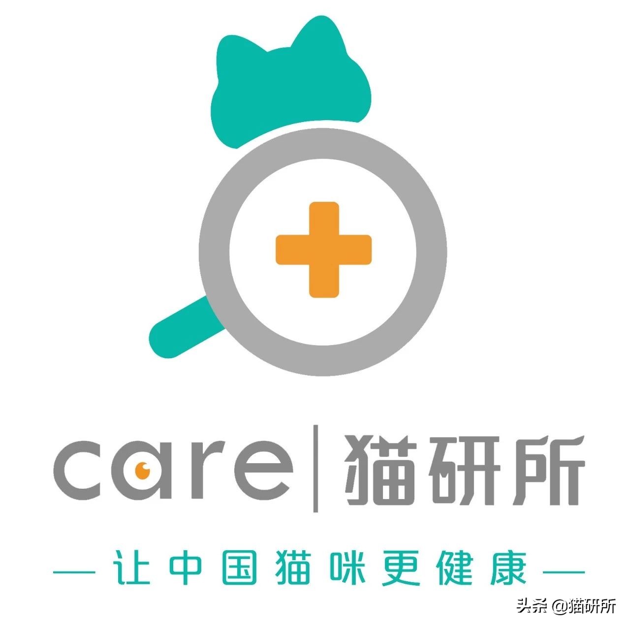 猫咪身上长包包怎么办,猫咪的面部神情跟铲屎官有关系