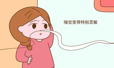 怀孕后嗅觉特别灵敏,怀孕后为什么会对气味变敏感