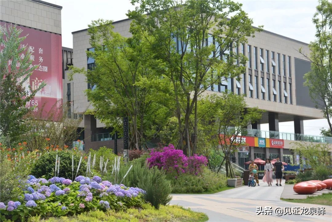 龙泉驿区将有6个龙泉人家投运!快看看有没有你身边的~