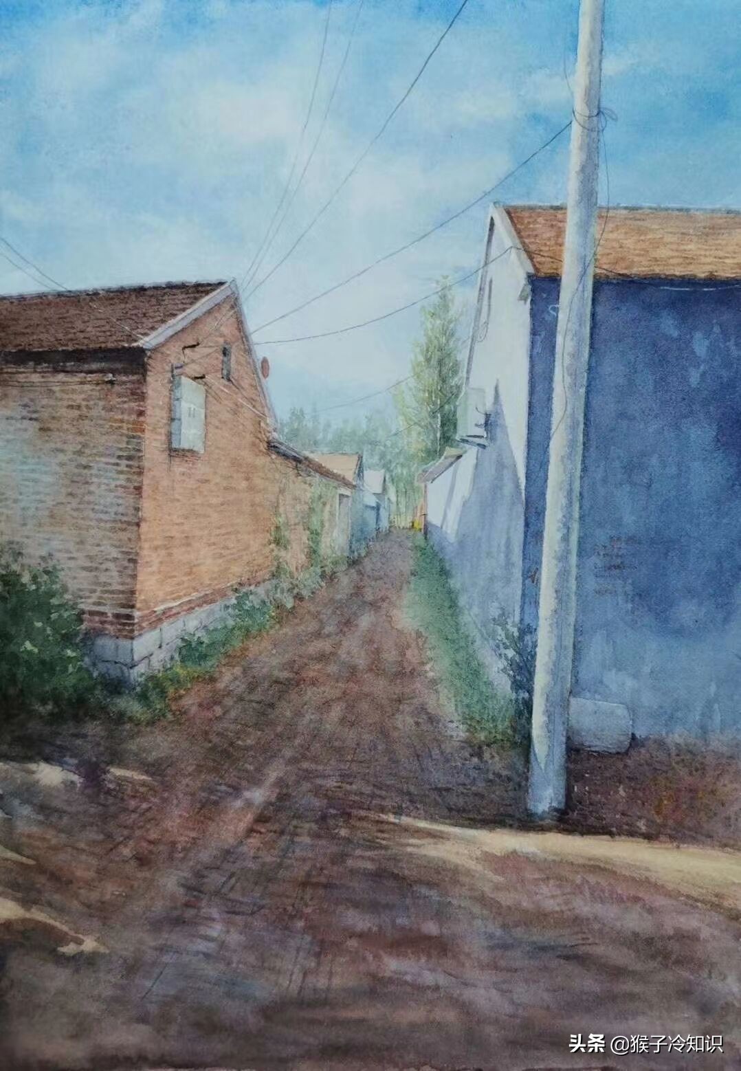 免费教画画的女大学生都是真的吗,揭秘免费教画画的骗局