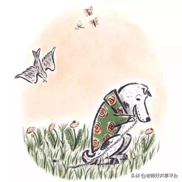 老师好睡前故事|《哈利的花毛衣》