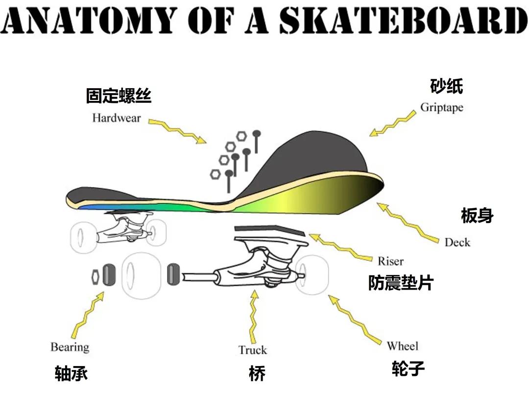 不懂装懂级滑板观赛指南（物理版）