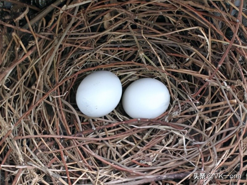 农村80后才看得懂的图和知道的经历