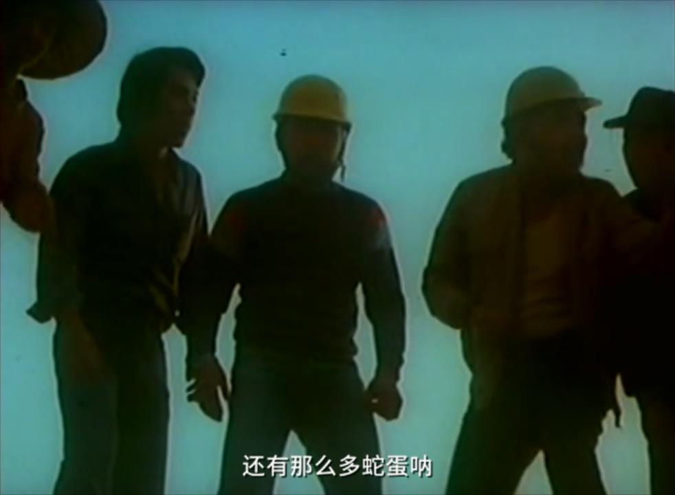 真蛇大战真实视频,拍人蛇大战用的是真蛇吗