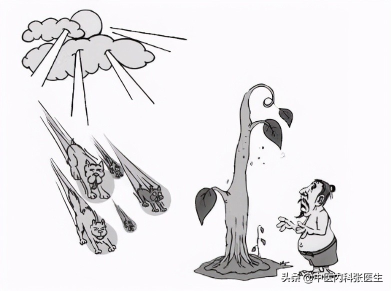 五毒月五毒日有科学依据吗,五毒之月排除五毒