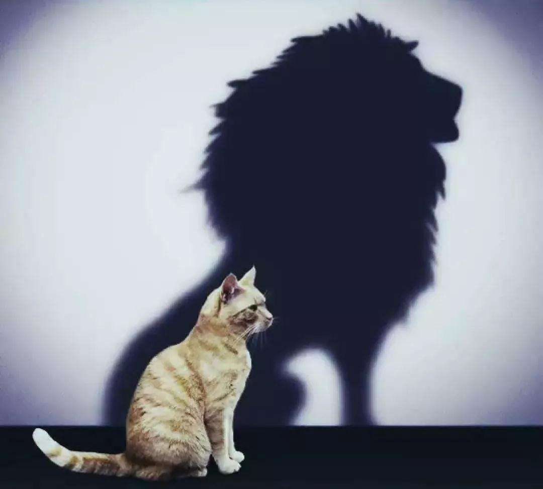 跟小人共事永远没有出头之日,与小人共事无异于与虎谋皮