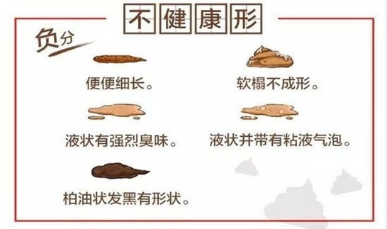 猫咪软便拉稀是什么问题,猫咪软便拉稀是如何处理