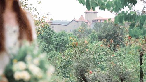 春日野餐记完整版,春日野餐记录视频