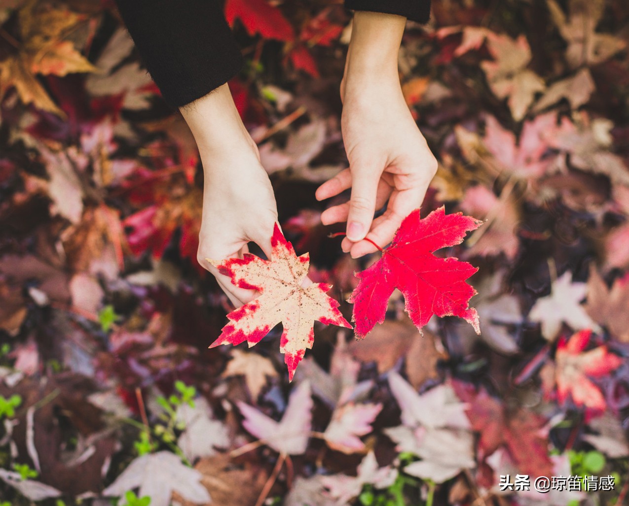 复合是重蹈覆辙还是破镜重圆,复合后的感情只是重蹈覆辙