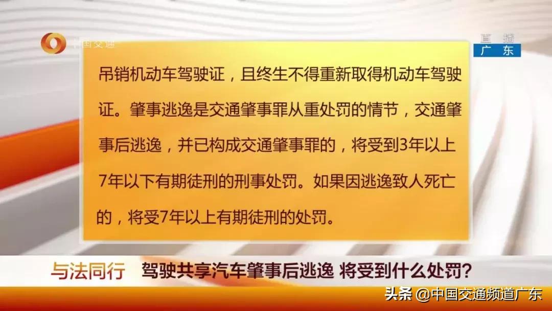 共享汽车交警队处理违章吗,交通事故同等责任车主要承担什么