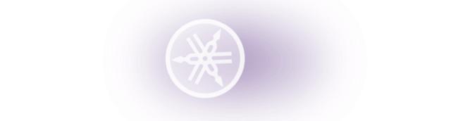 2019年雅马哈有何新动向,雅马哈新款乐器