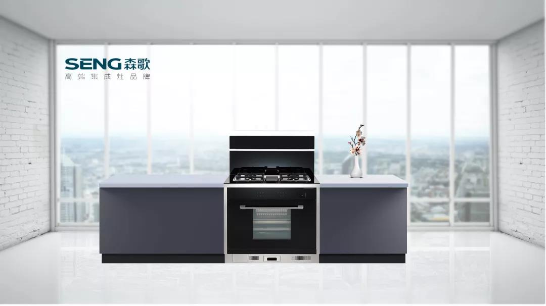 森歌电器股份有限公司,森歌电器