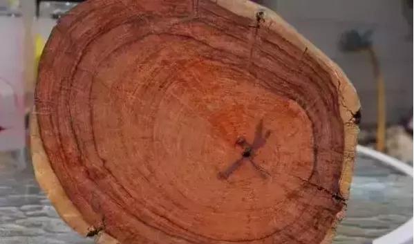 微凹黄檀是白酸枝还是红酸枝,红酸枝微凹黄檀是什么木头