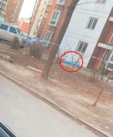 秦皇岛市海悦公馆坠楼事件,秦皇岛团结里坠楼事件