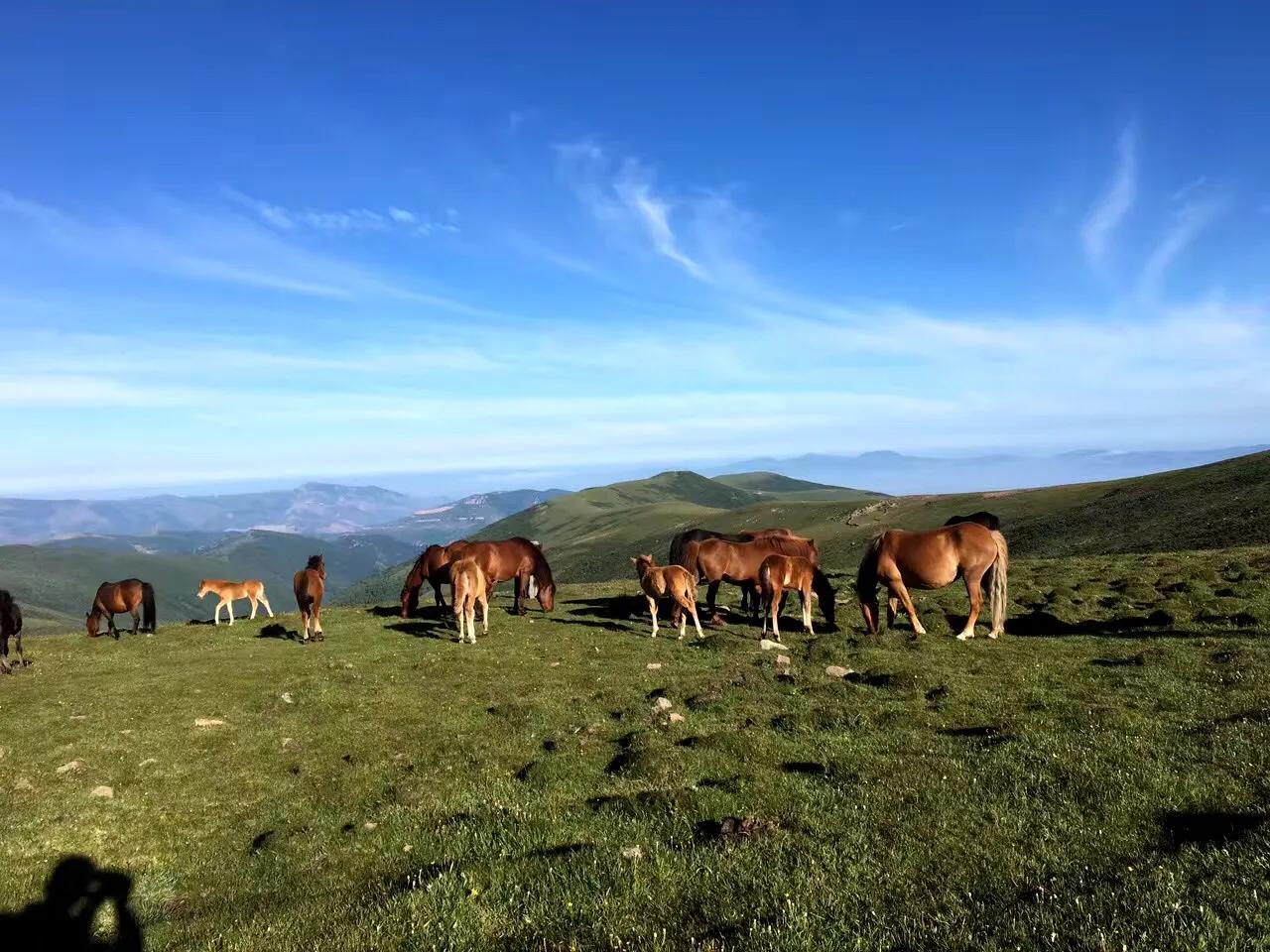 佛教四大名山之首五台山,五台山一念之间善男信女