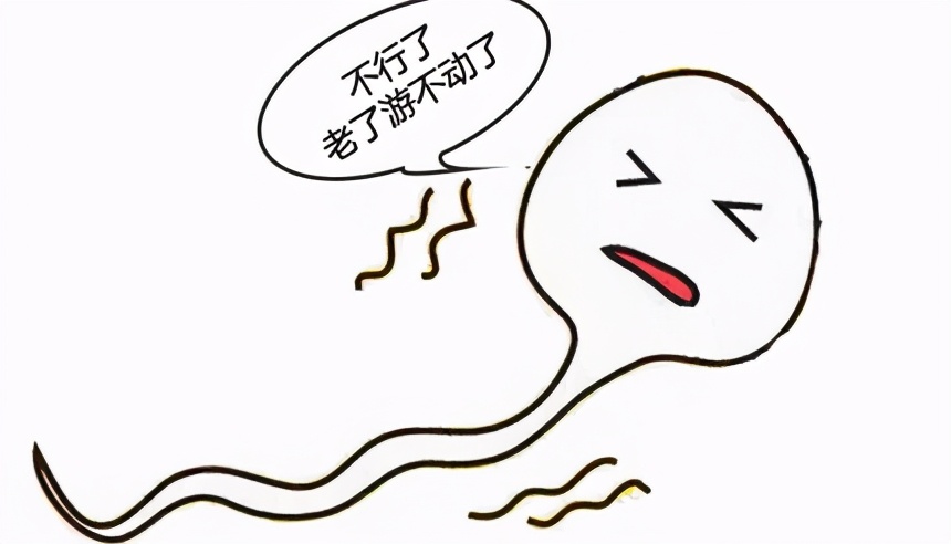 胎停育有几个原因,12周胎停育可能是哪些原因