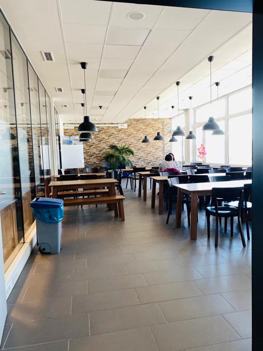 原来海德堡除了有德国最顶尖的大学，还有这么优秀的文理中学？