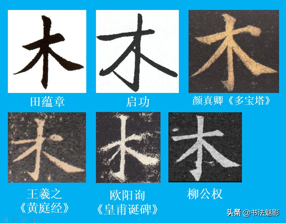 对称是重要的美学要素,对称与美学之间的关系