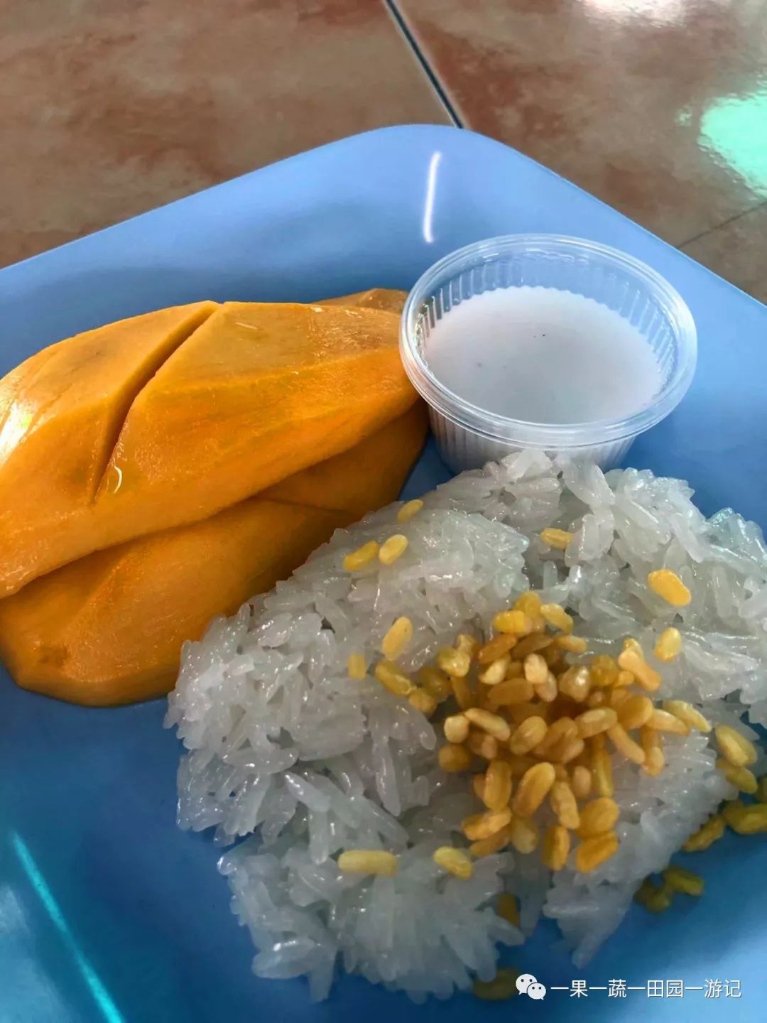 2个120岁一句英语都不会的老人·泰国自由行