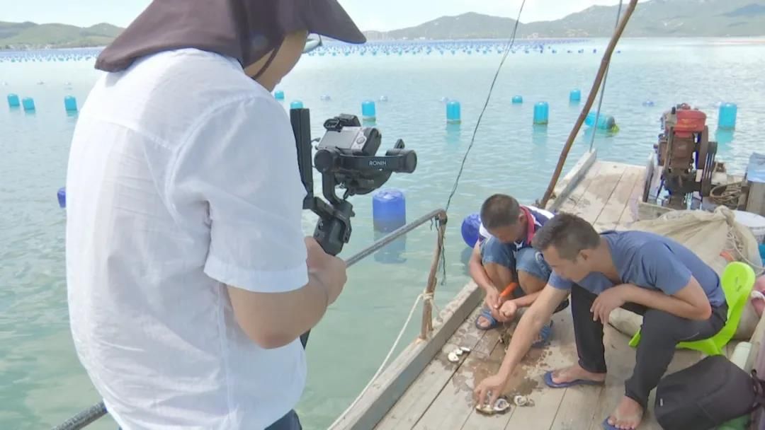 【丰收的喜悦】金秋宜吃蚝，这个地方生长的生蚝肉质嫩美可口！