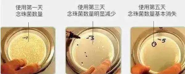 100亿活性乳酸菌,灭活乳酸杆菌