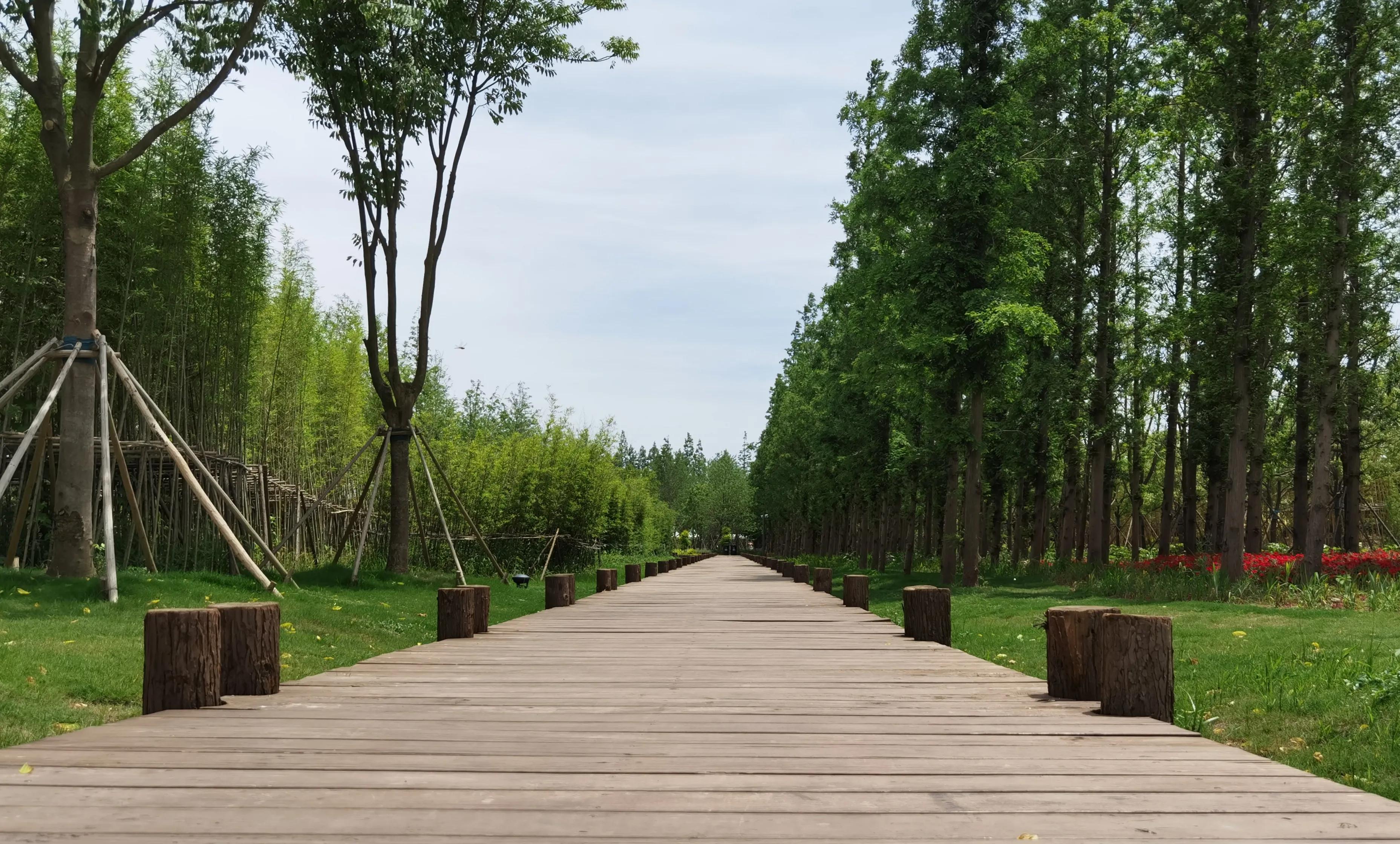 关于崇明花博会,崇明花博会全程花景