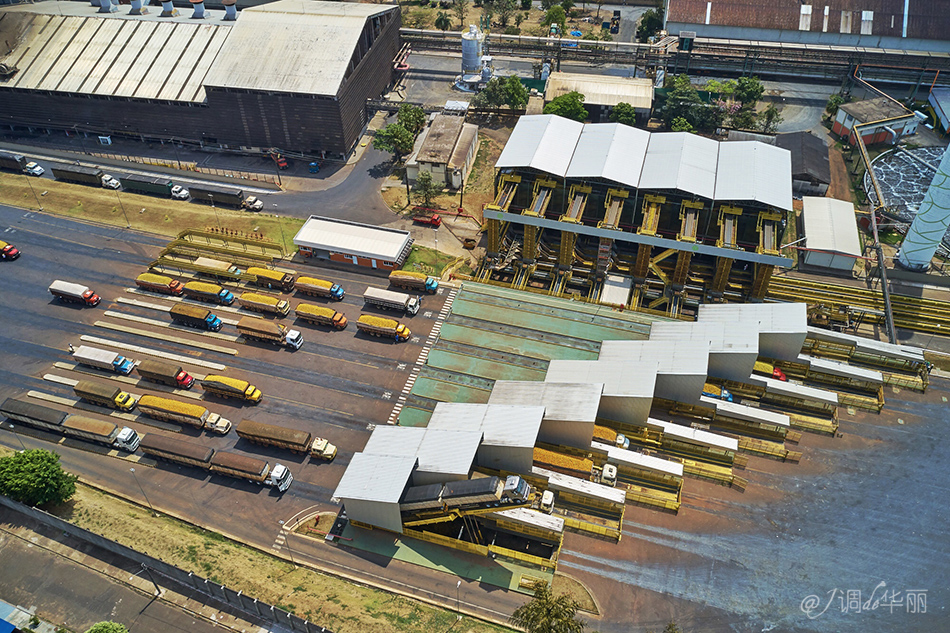 巴西像内马尔的人,巴西像