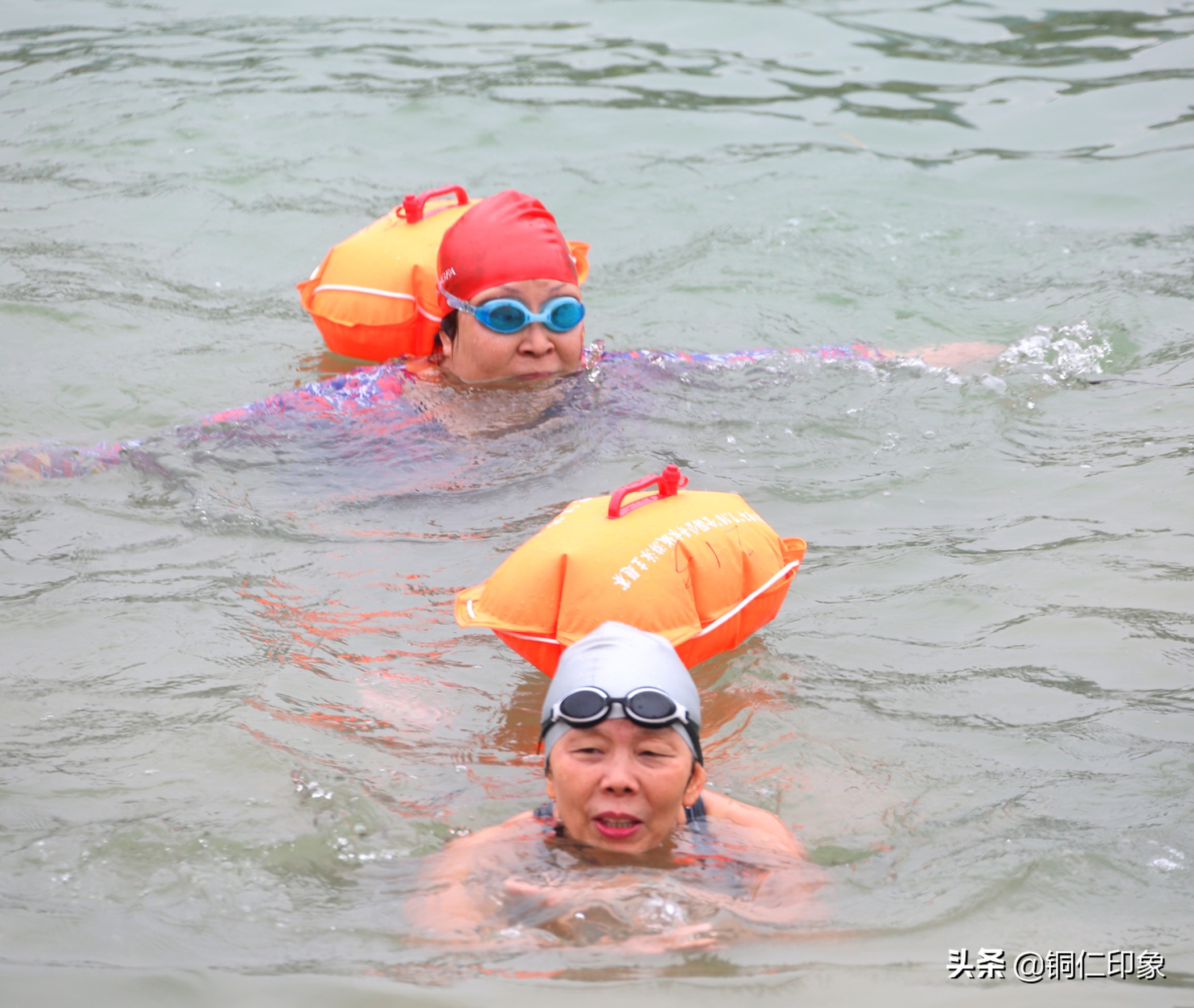 铜仁市游泳协会,2023年铜仁市运动会游泳比赛