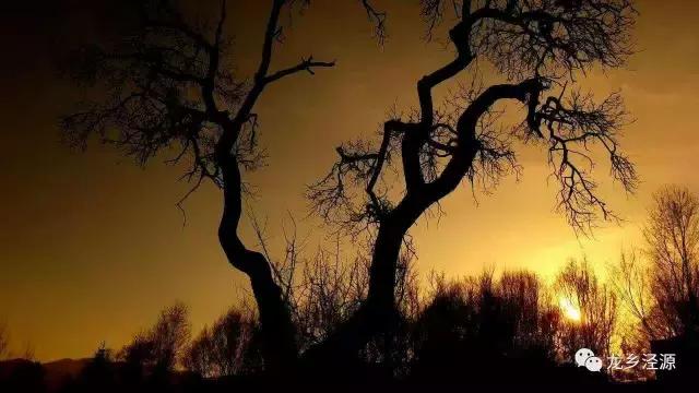 后来的我们，相遇在泾源