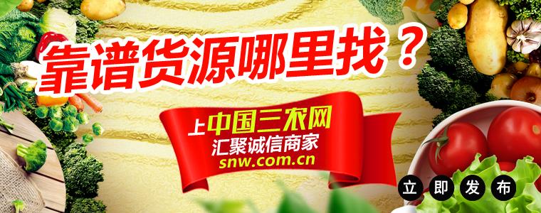 芒果盆栽种植方法,盆栽芒果正确种植方法