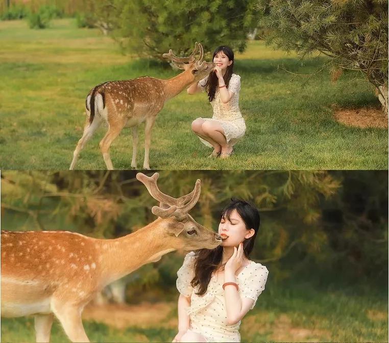 东南花都花博园全新升级鹿岛公园,东南花都花博园导览图