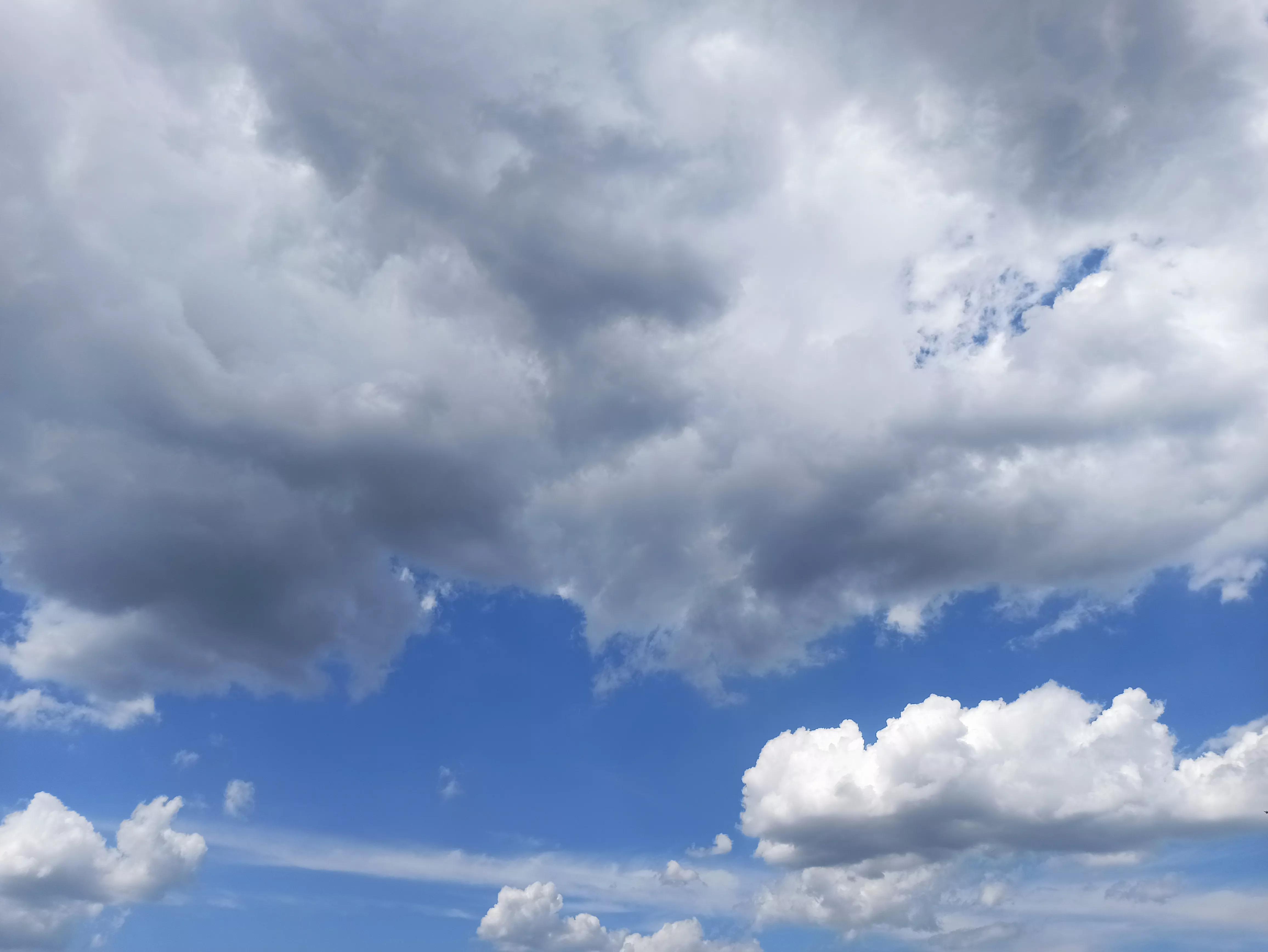 做梦梦到小猫咪是胎梦吗,做梦梦见小猫咪缠着我