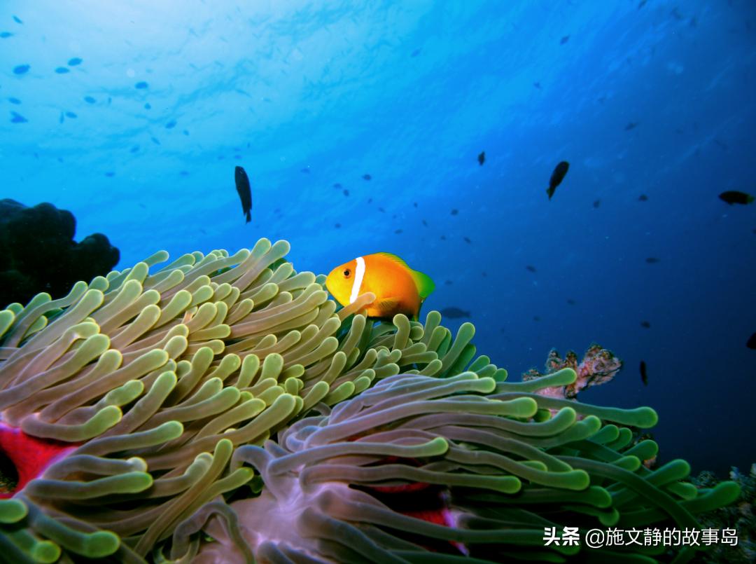 人生只活一次,人只活一次活成自己想要的样子