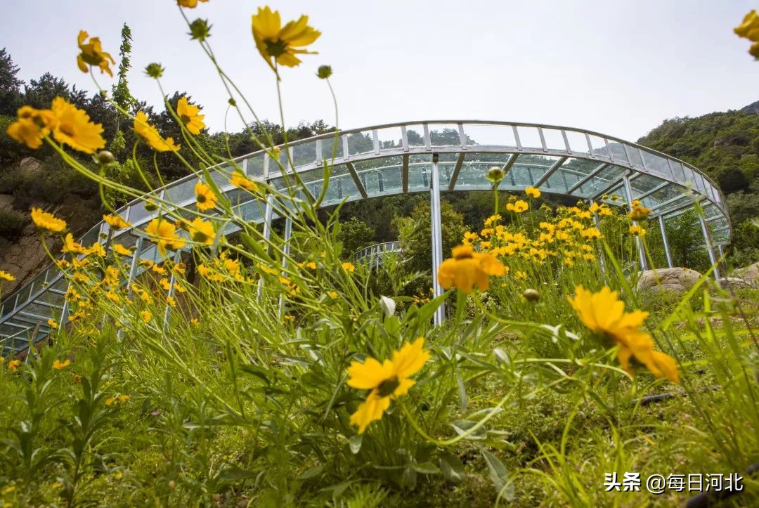 漫山花溪谷好玩吗值得去吗,夏天总要去一趟漫山花溪谷