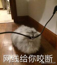 网线不够长可以接吗,电脑网线不够长怎么办