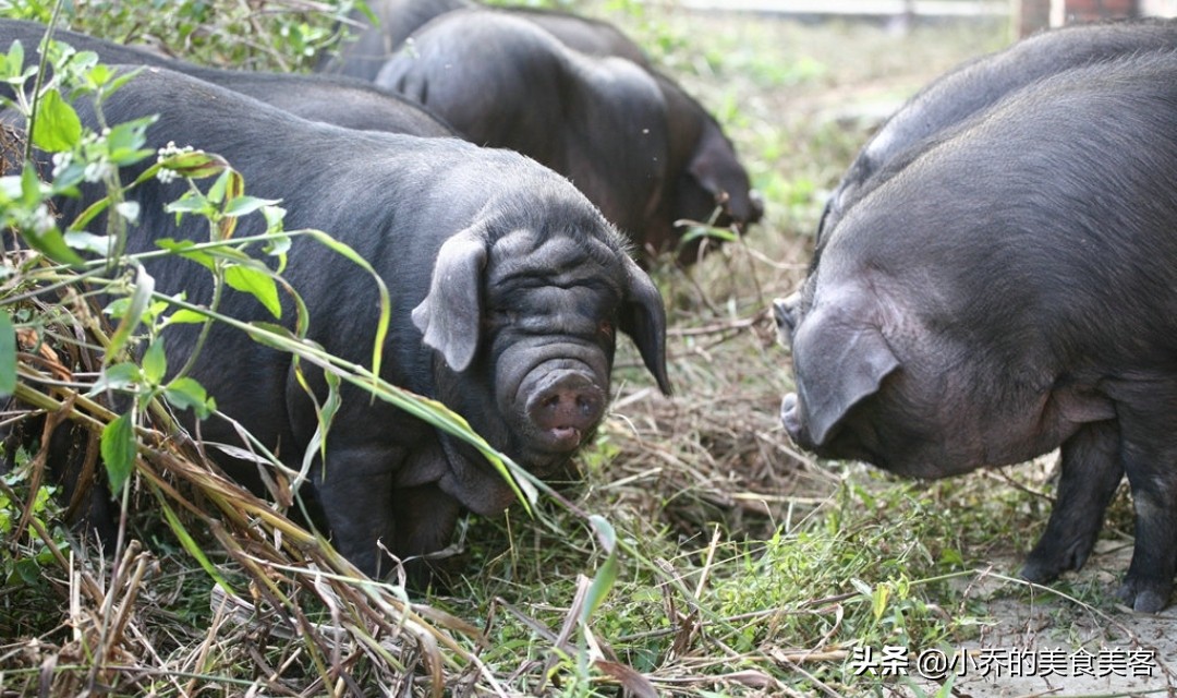 卤肉要怎么去腥味,卤肉要注意哪些